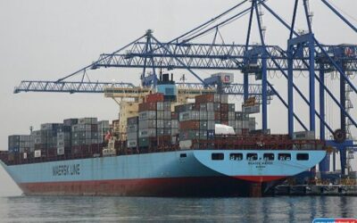 The Port of Gdańsk maintained its strong position in the first half of 2025.