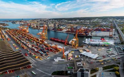 “Summary of the performance of Polish seaports in the first half of 2025”