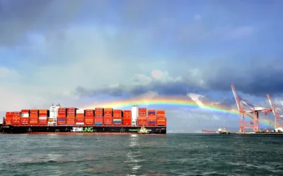 “Turkish ban on ZIM ships – what is happening?”