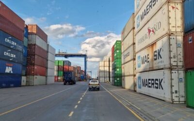 CBAM i EUDR: zielona rewolucja na granicach UE. Co importerzy muszą przygotować przed 2026 rokiem?