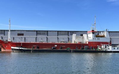 Kolejny transport jabłek płynie do Egiptu