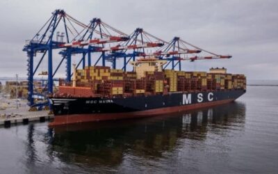 Albatros – nowy serwis oceaniczny w Baltic Hub