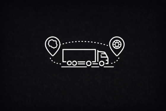 przewozy krajowe i międzynarodowe